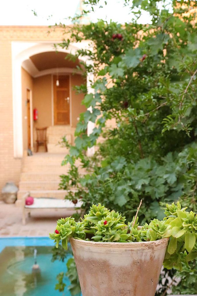 فضای سبز سرای آقامحمد